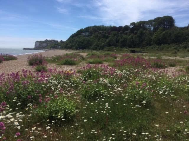 Mariner'S Cottage - On Kingsdown Beach Deal Buitenkant foto